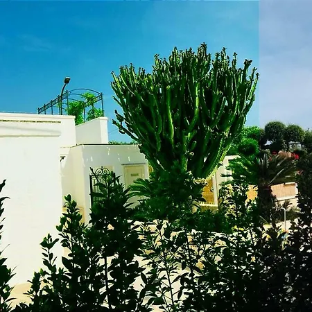 A Casa Di Antonia * Monopoli